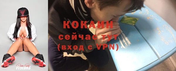 спиды Богородск