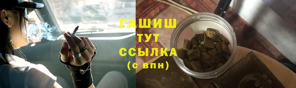 спиды Богородск