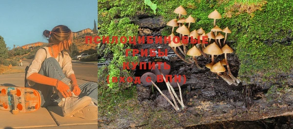 меф Богородицк