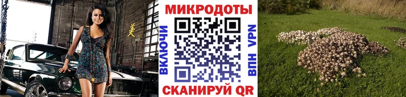 Псилоцибиновые грибы ЛСД  где найти   Армавир 